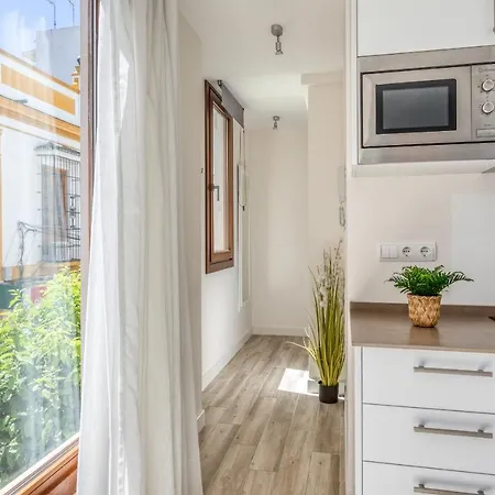 Hanami Centro 1b 公寓