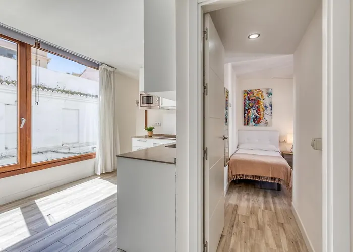 Hanami Centro 1b 埃斯特波纳